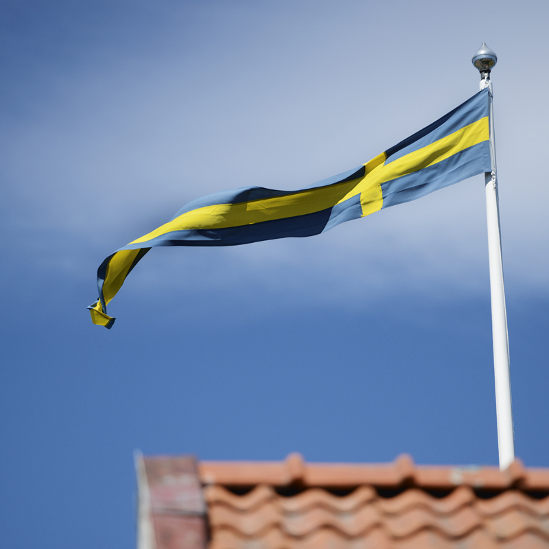 Sissel A Swedish Success Story